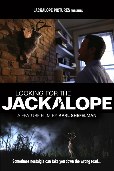 Looking for the Jackalope (2016)